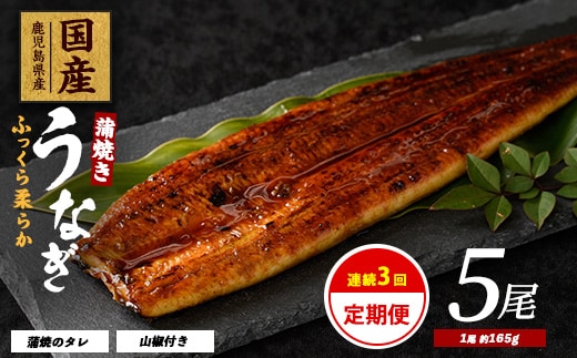 【全３回定期便・連続お届け】鹿児島県産うなぎ蒲焼じっくり焼き約165g×5尾(大新/Z100-1699) 鰻 蒲焼 国産 丑の日 うな重 無頭 ギフト ふっくら 小分け レンジ 簡単 頒布会 小分け うな丼 ウナギ 冷凍
