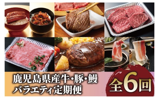 【全６回定期便】鹿児島県産牛・豚・鰻バラエティ定期便(Z100-2044) 牛肉 豚肉 うなぎ 鹿児島県産 鹿児島産 国産 定期 頒布会 スライス しゃぶしゃぶ すき焼き ハンバーグ 黒牛 黒豚 鹿児島黒牛 茶美豚 チャーミートン 焼肉 蒲焼 うなぎ蒲焼 6回