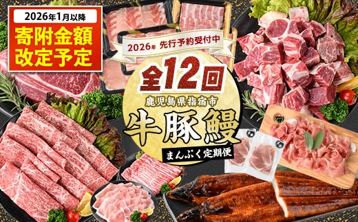 【2026年発送 先行予約】【全１２回定期便】鹿児島自慢の 豚 ・ 牛 ・ うなぎ まんぷく 定期便 (水迫畜産/Z100-1773) 頒布会 頒布 定期 国産 肉 豚 牛 豚肉 牛肉 鹿児島県産 生ハム すき焼き 和牛 国産牛 薄切り スライス 黒毛和牛 霜降り バラ ロース 黒豚 鍋 しゃぶしゃぶ カルビ 小分け カレー シチュー ステーキ 焼き肉 焼肉 指宿 鹿児島 いぶすき