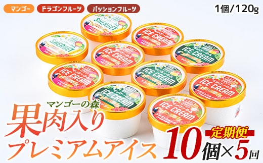 【全５回定期便】ゴロゴロ果肉入りアイス10個入定期便(マンゴーの森/Z100-290) アイス フルーツ マンゴー スイーツ シャーベット
