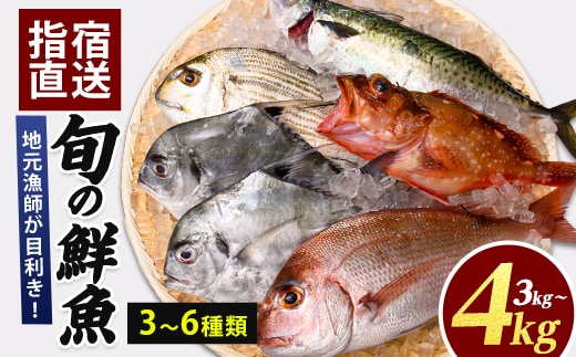 【鮮魚】【指宿産直便】漁師が選ぶ季節の鮮魚便3～4kg(指宿山川水産/IB035-022)