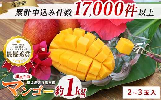 【2026年 発送 先行予約】【訳あり】鹿児島県いぶすき産 温泉完熟マンゴー約1kg(T&P/IB057-001) マンゴー フルーツ 果物 旬 夏 指宿 いぶすき 鹿児島 完熟 グルメ 南国 南国フルーツ 果実 マンゴー 太陽 国産 鹿児島県産