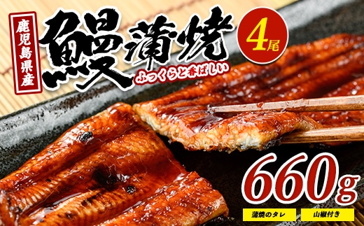 鹿児島県産 鰻の蒲焼(無頭背開き)約165g×4尾(山中水産/IB022-002) うなぎ 国産 鹿児島 蒲焼 丑の日 丑 土用丑の日