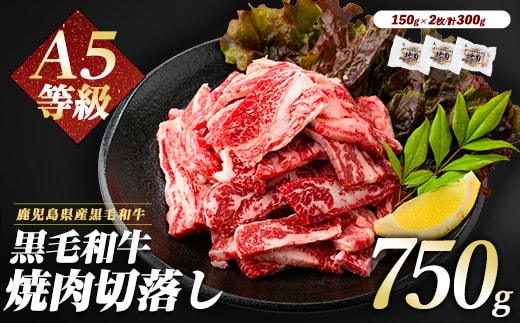 A5等級鹿児島県産黒毛和牛焼肉切り落とし750g(250g×3P)(LRプラスK/IB112-016) 牛肉 牛 肉 お肉 黒毛和牛 黒毛 国産牛 国産 鹿児島県産 バーベキュー 切落し 和牛 A5 A5ランク ミスジ ウワミスジ インサイド ミックス キャンプ BBQ 野菜炒め 炒め物 家庭用 冷凍 小分け 焼肉用 カミチク