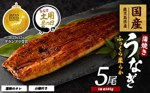 【丑の日に合わせてお届け！】鹿児島県産うなぎ蒲焼じっくり焼き約165g×5尾(大新/IB021-002u)うなぎ 国産 鹿児島 蒲焼 丑の日 丑 土用丑の日