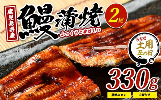 【丑の日に合わせてお届け！】鹿児島県産鰻の蒲焼(無頭背開き)約165g×2尾(山中水産/IB022-001u)うなぎ 国産 鹿児島 蒲焼 丑の日 丑 土用丑の日