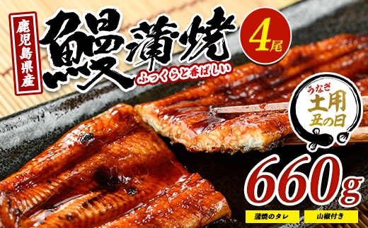 【丑の日に合わせてお届け！】鹿児島県産鰻の蒲焼(無頭背開き)約165g×4尾(山中水産/IB022-002u) うなぎ 国産 鹿児島 蒲焼 丑の日 丑 土用丑の日