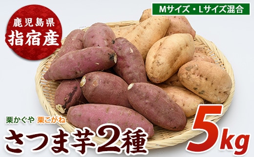 【2026年11月上旬以降～順次発送】さつまいも2種(栗かぐや・栗こがね)詰合せ約5kg(らくと農園/IB084-002)さつまいも おやつ さつま芋 焼芋 やきいも 焼きいも スイーツ