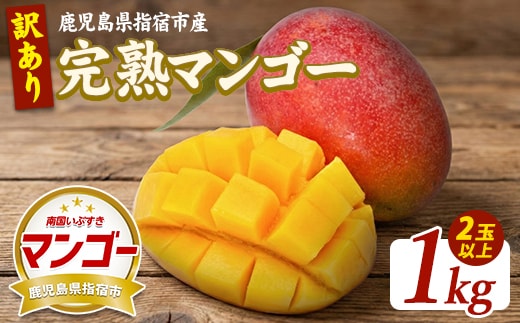 【2026年発送】【訳あり】鹿児島県指宿産 完熟マンゴー約1kg (室屋植物園/IB163-003) 訳あり ご家庭用 完熟 フルーツ 果物 果実 デザート スイーツ 南国