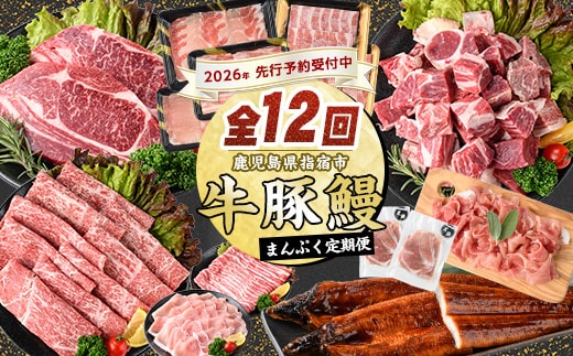 【2026年発送 先行予約】【全１２回定期便】鹿児島自慢の 豚 ・ 牛 ・ うなぎ まんぷく 定期便 (水迫畜産/Z100-1773) 頒布会 頒布 定期 国産 肉 豚 牛 豚肉 牛肉 鹿児島県産 生ハム すき焼き 和牛 国産牛 薄切り スライス 黒毛和牛 霜降り バラ ロース 黒豚 鍋 しゃぶしゃぶ カルビ 小分け カレー シチュー ステーキ 焼き肉 焼肉 指宿 鹿児島 いぶすき