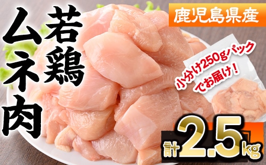 鹿児島県産若鶏ムネ肉(計2.5kg・250g×10P)若鶏ムネ冷凍【株式会社羽根】A574
