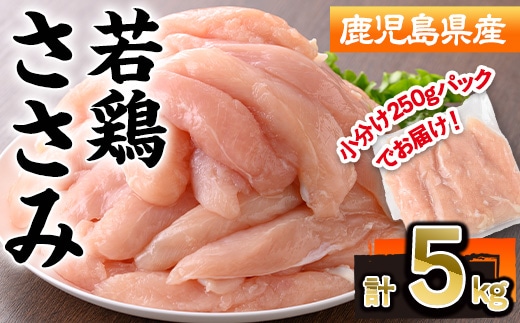 鹿児島県産若鶏ささみ(計5kg・250g×20P)若鶏ささみ冷凍【株式会社羽根】A577-v01
