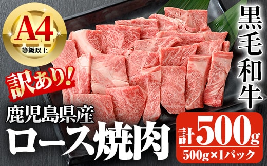 鹿児島県産A4等級以上黒毛和牛・ロース不揃い切り落とし焼肉計500g(500g×1パック)黒毛和牛牛肉切り落とし【ビーフ倉薗】A521