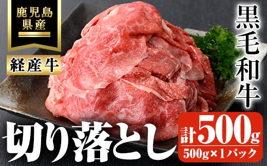 鹿児島県産黒毛和牛(経産牛)おためし切り落とし計500g(500g×1パック)黒毛和牛牛肉切り落とし【ビーフ倉薗】A523