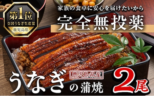 鹿児島県産うなぎ蒲焼(1尾あたり136g～155g×2尾、タレ・山椒付き)鰻ウナギうな重ひつまぶしかばやき九州産国産冷凍【西日本養鰻】A582