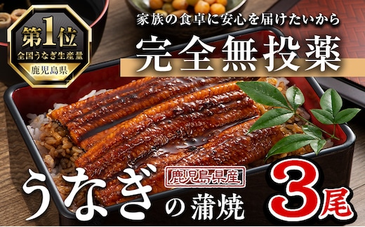 鹿児島県産うなぎ蒲焼(1尾あたり136g～155g×3尾、タレ・山椒付き)鰻ウナギうな重ひつまぶしかばやき九州産国産冷凍【西日本養鰻】A583