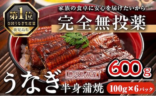 鹿児島県産うなぎ半身カットセット(100g×6パック、タレ・山椒付き)鰻ウナギうな重ひつまぶしかばやき九州産国産冷凍真空パックカットうなぎ蒲焼き【西日本養鰻】A586