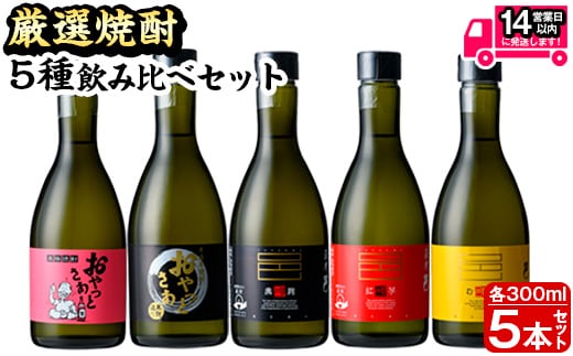 厳選焼酎のみくらべセット(300ml×5本・計1.5L)焼酎本格焼酎飲み比べ【岩川醸造】A658