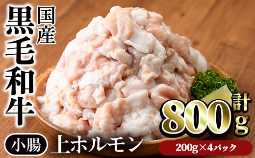 【鮮度抜群！】国産黒毛和牛小腸（上ホルモン計800g）ホルモン焼肉黒毛和牛【カミチク】A827