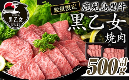 鹿児島黒牛 黒乙女 和牛モモ焼肉(計500g・250g×2P) 黒毛和牛 黒牛 鹿児島県産【ナンチク】A966