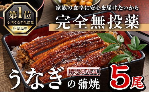 鹿児島県産うなぎ蒲焼(1尾あたり136g～155g×5尾、タレ・山椒付き)鰻ウナギうな重ひつまぶしかばやき九州産国産冷凍【西日本養鰻】B175