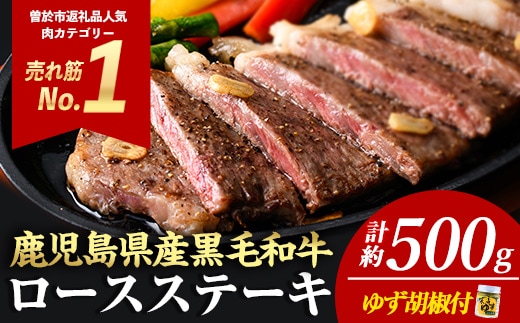 ＜2枚・計約500g＞4等級以上！鹿児島県産黒毛和牛ロースステーキ2枚セット黒毛和牛ステーキ冷凍【ナンチク】B1-01-v06