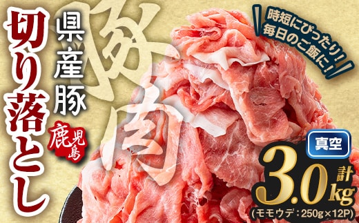 ＜2026年3月中に発送予定＞鹿児島県産 豚肉切り落とし (計3.0kg) 真空パック 豚肉 切り落とし【Rana】A1016-03