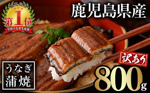 ＜訳あり＞無投薬！鹿児島県産うなぎ蒲焼セット(計800g・尾数不定) タレ・山椒付き 鰻 ウナギ 蒲焼 きざみ 冷凍【西日本養鰻】A1162