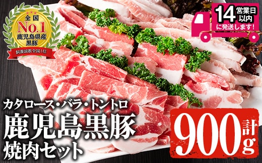 ＜14営業日以内発送！＞鹿児島黒豚焼肉セット黒豚肩ロース・黒豚バラ・黒豚トントロ(各300g×3種・計900g)国産鹿児島県産豚肉【佐多精肉店】A142-v01
