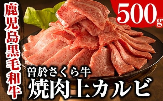 曽於さくら牛焼肉ギフト(上カルビ500g)黒毛和牛上カルビ焼き肉【福永産業】A16-v01