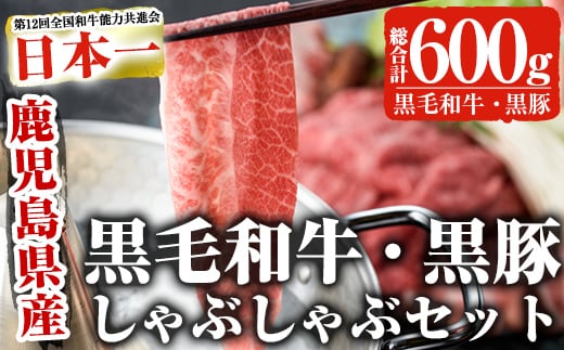 鹿児島黒毛和牛鹿児島黒豚しゃぶしゃぶセット(300g×2P・計600g）＆生ハム切り落とし（75g×1P）)たれ付き黒毛和牛黒豚国産【ナンチク】A1-v02