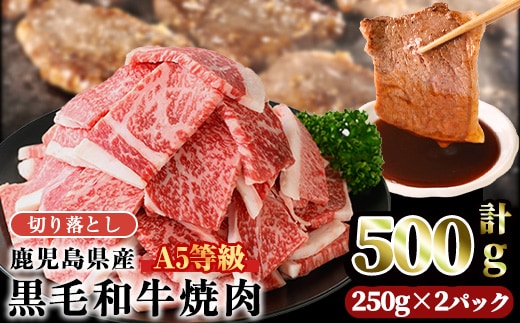 A5等級鹿児島県産黒毛和牛焼肉切落し(計500g・250g×2パック) 切り落とし 焼肉 黒毛和牛【カミチク】A1004
