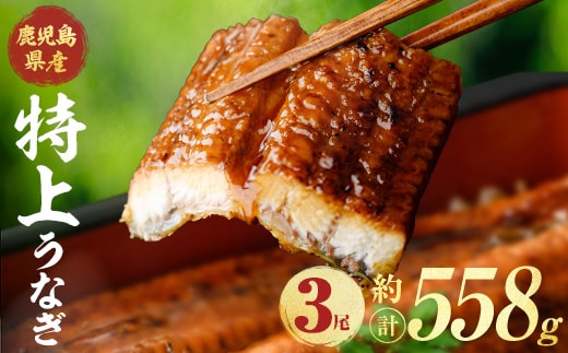 鹿児島県産うなぎ蒲焼 (計約558g / 約186g×3尾) 鰻 ウナギ うなぎ 【薩摩川内鰻】 A1109