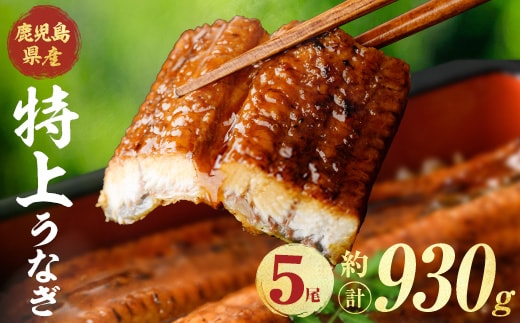 鹿児島県産うなぎ蒲焼 (計約930g / 約186g×5尾) 鰻 ウナギ うなぎ 【薩摩川内鰻】 A1111