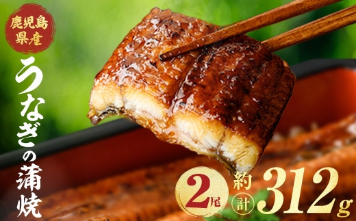 鹿児島県産うなぎ蒲焼 (計約312g / 約156g×2尾) 鰻 ウナギ うなぎ 【薩摩川内鰻】 A1112