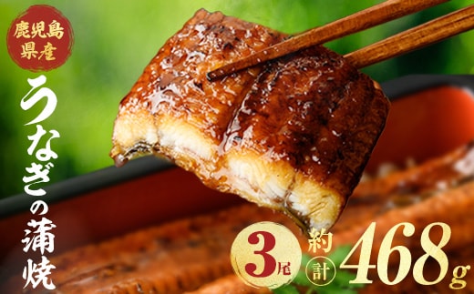 鹿児島県産うなぎ蒲焼 (計約468g / 約156g×3尾) 鰻 ウナギ うなぎ 【薩摩川内鰻】 A1113