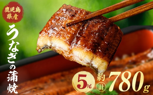 鹿児島県産うなぎ蒲焼 (計約780g / 約156g×5尾) 鰻 ウナギ うなぎ 【薩摩川内鰻】 A1115