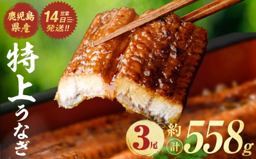鹿児島県産うなぎ蒲焼 (計約558g / 約186g×3尾) 鰻 ウナギ うなぎ 【薩摩川内鰻】 A1109-v01