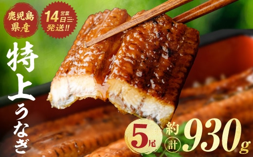 鹿児島県産うなぎ蒲焼 (計約930g / 約186g×5尾) 鰻 ウナギ うなぎ 【薩摩川内鰻】 A1111-v01