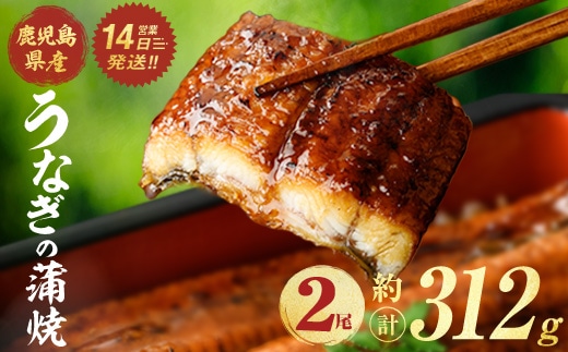 鹿児島県産うなぎ蒲焼 (計約312g / 約156g×2尾) 鰻 ウナギ うなぎ 【薩摩川内鰻】 A1112