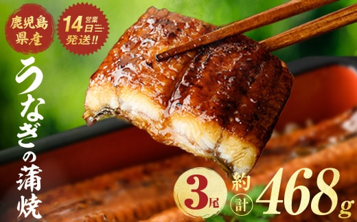 鹿児島県産うなぎ蒲焼 (計約468g / 約156g×3尾) 鰻 ウナギ うなぎ 【薩摩川内鰻】 A1113