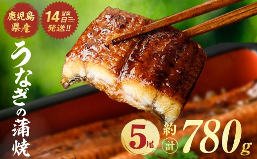 鹿児島県産うなぎ蒲焼 (計約780g / 約156g×5尾) 鰻 ウナギ うなぎ 【薩摩川内鰻】 A1115
