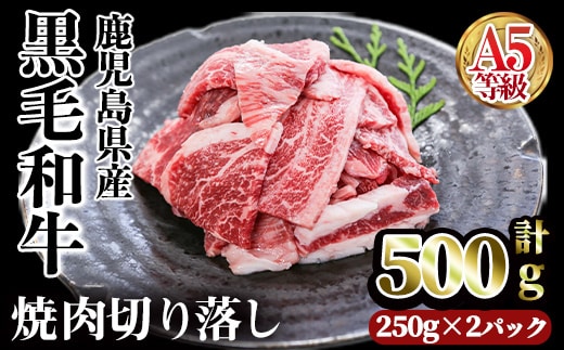 A5等級鹿児島県産黒毛和牛焼肉切落し(計500g・250g×2パック) 切り落とし 焼肉 黒毛和牛【カミチク】A1004