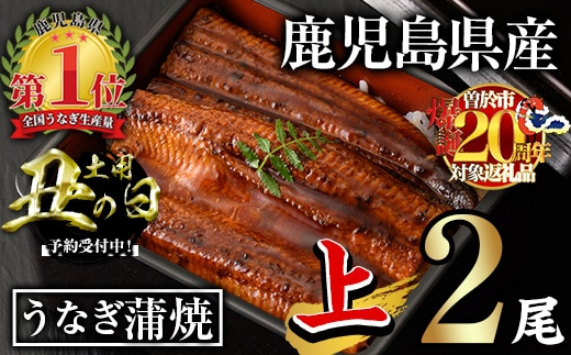 ＜丑の日先行予約受付中！＞無投薬！鹿児島県産うなぎ蒲焼セット＜上＞(計280g以上・ 約140g×2尾) タレ・山椒付き 鰻 ウナギ 国産【西日本養鰻】A1009
