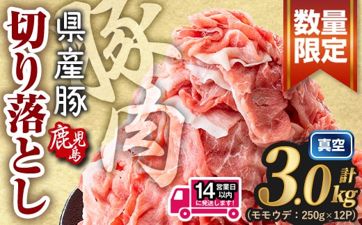鹿児島県産 豚肉切り落とし (計3.0kg) 真空パック 豚肉 切り落とし【Rana】A1016-v02