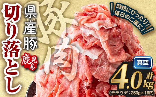 鹿児島県産 豚肉切り落とし (計4.0kg) 真空パック 豚肉 切り落とし【Rana】A1017-11