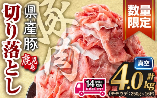 鹿児島県産 豚肉切り落とし (計4.0kg) 真空パック 豚肉 切り落とし【Rana】A1017-v02