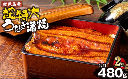 鹿児島産超特大うなぎ蒲焼(無頭) (計480g以上・240g以上×2尾) 鰻 蒲焼き 真空パック【株式会社財宝】A1042