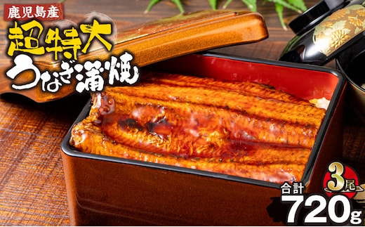 鹿児島産超特大うなぎ蒲焼(無頭) (計720g以上・240g以上×3尾) 鰻 蒲焼き 真空パック【株式会社財宝】A1043