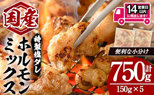 ＜14営業日以内発送！＞国産黒毛和牛ホルモンミックス 塩ダレ (計750g・150g×5) 国産 牛肉 ホルモン【肉のちょーさん】A1058